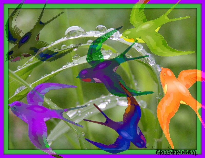 Colorful Birds on Grass