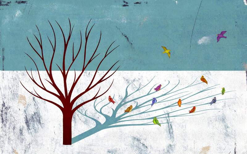 Colorful Birds on Tree — Blue