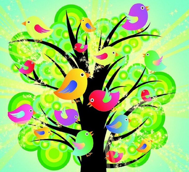Colorful Birds on Tree