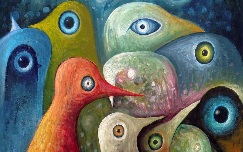 Colorful Birds with Eyes