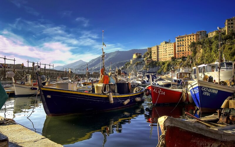 Colorful boats in a coastal harbor