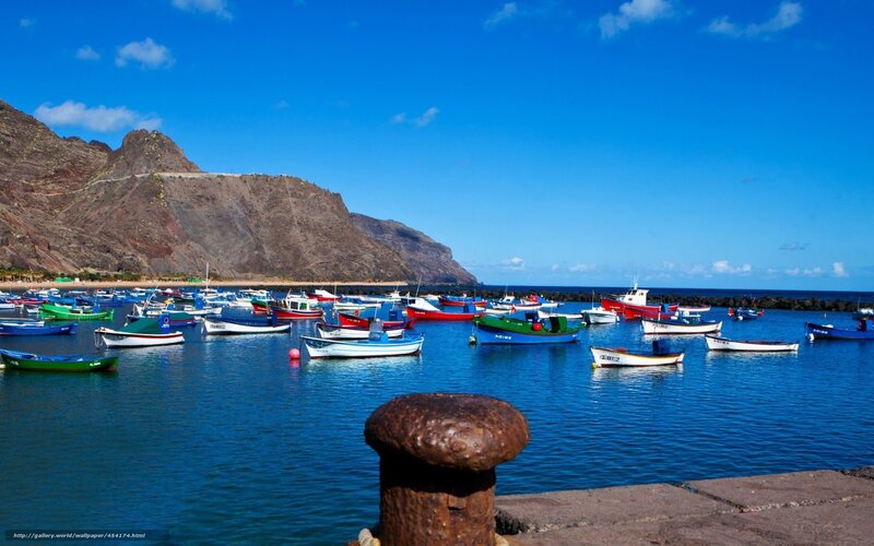 Colorful boats in a coastal harbor