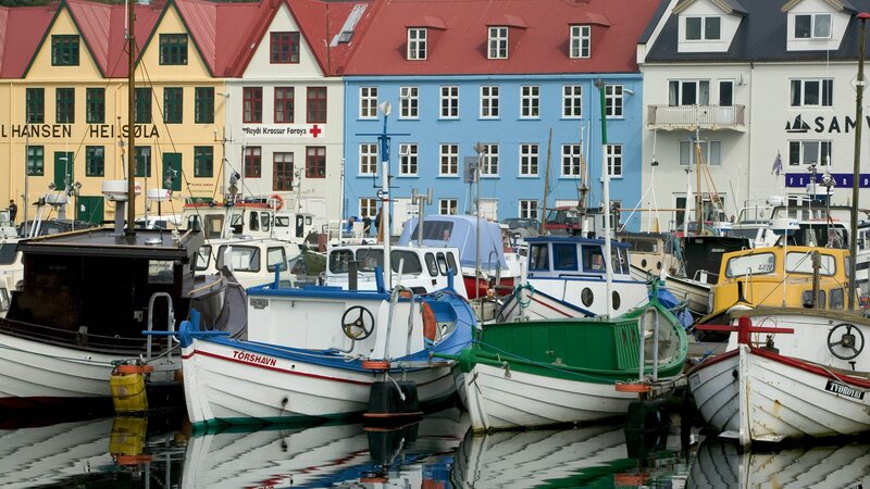 Colorful boats in a harbor