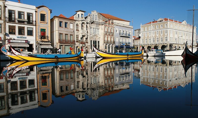 Colorful boats in a harbor