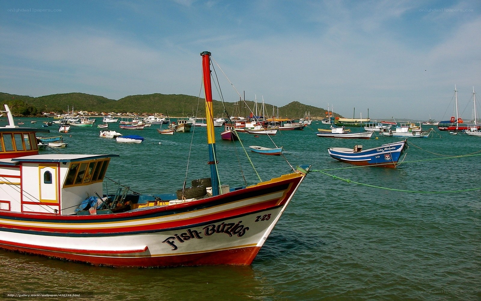 Colorful boats in a harbor