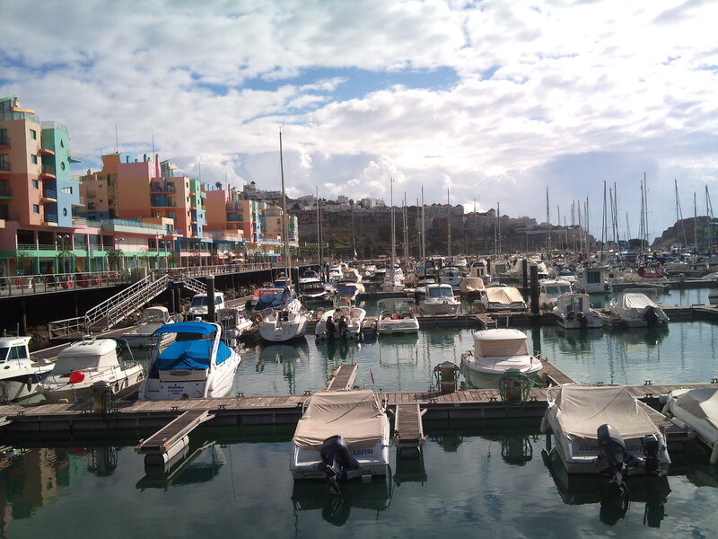 Colorful Boats in Marina