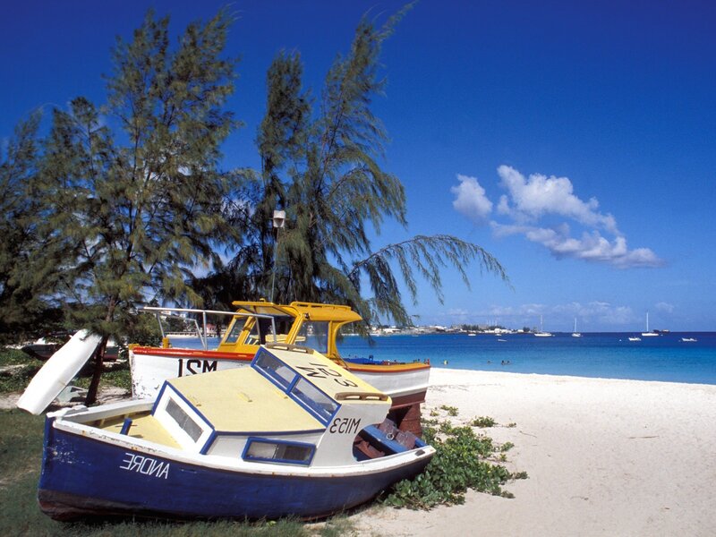 Colorful Boats on Beach — Blue, Serene, Afternoon, Photograph, Trees