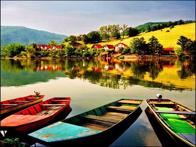 Colorful Boats on Lake — Green, Serene, Afternoon