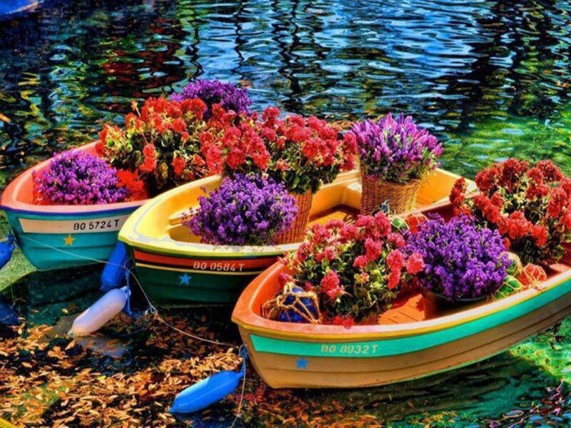 Colorful Boats with Flowers