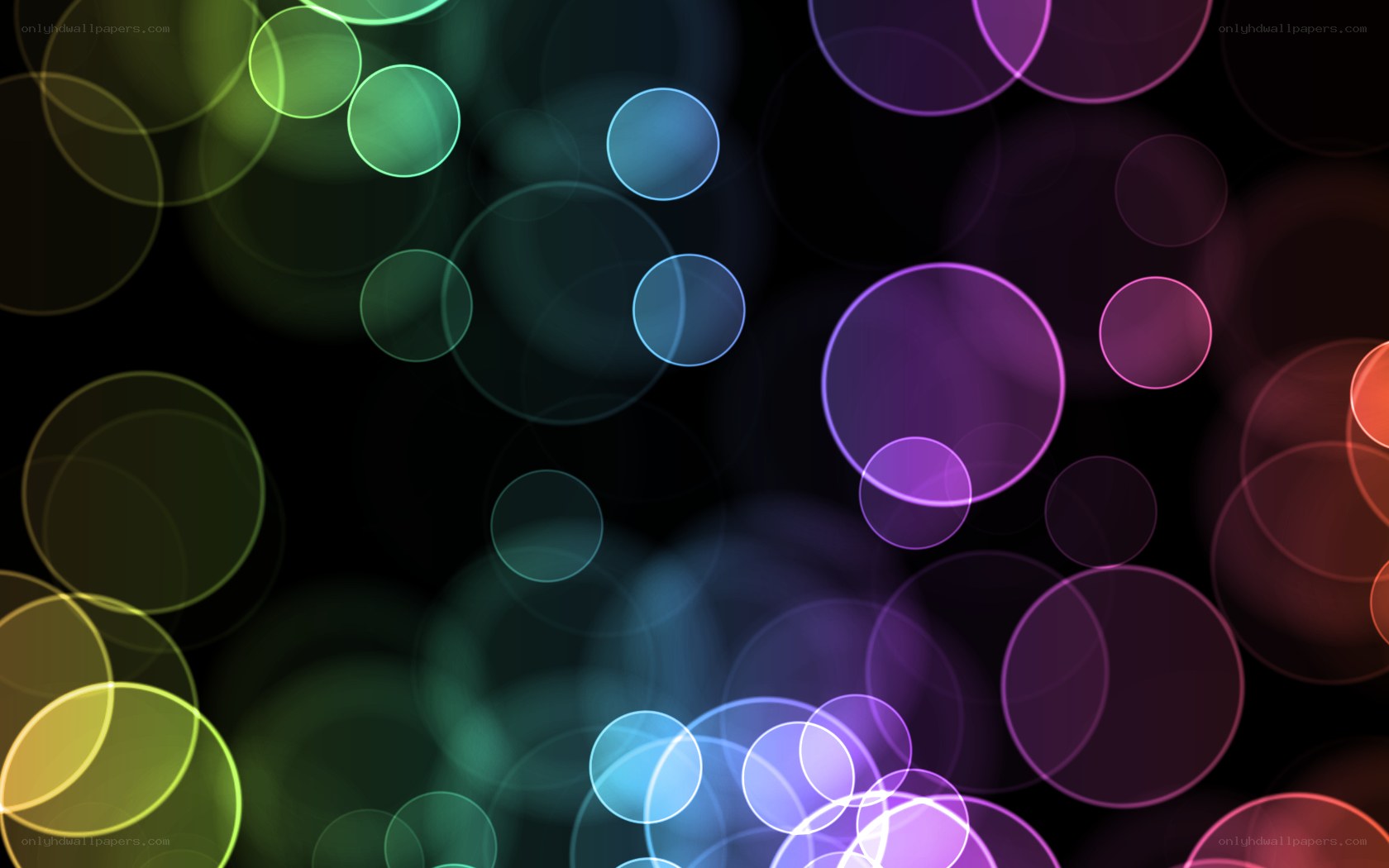 colorful bokeh circles