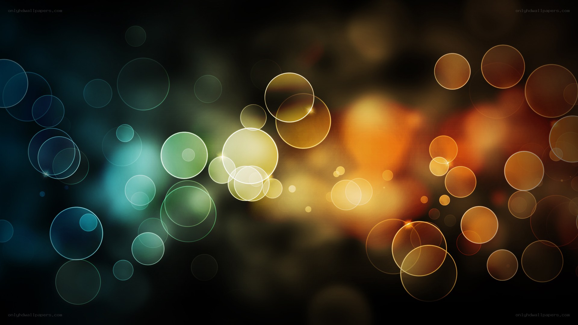 colorful bokeh circles