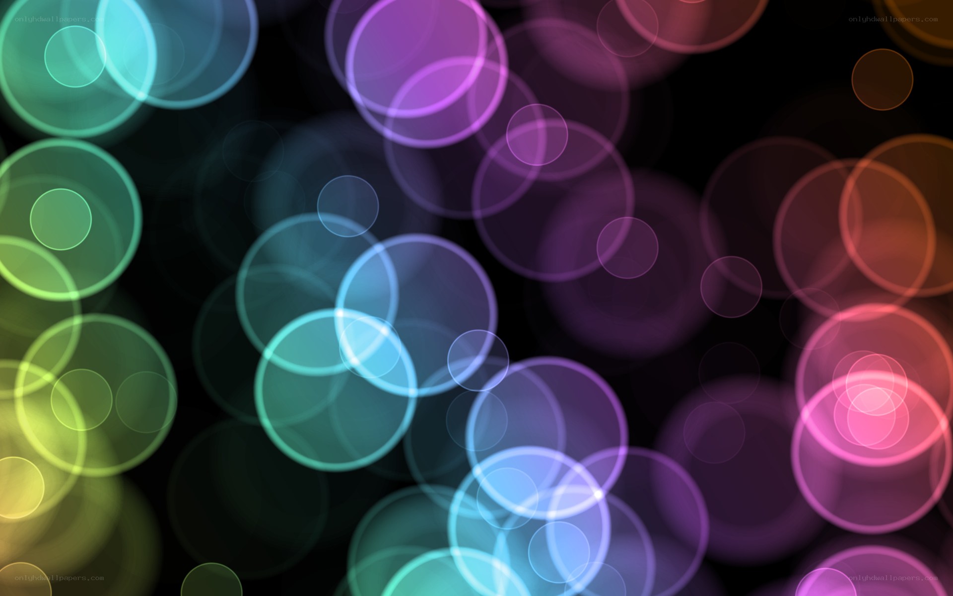 colorful bokeh circles