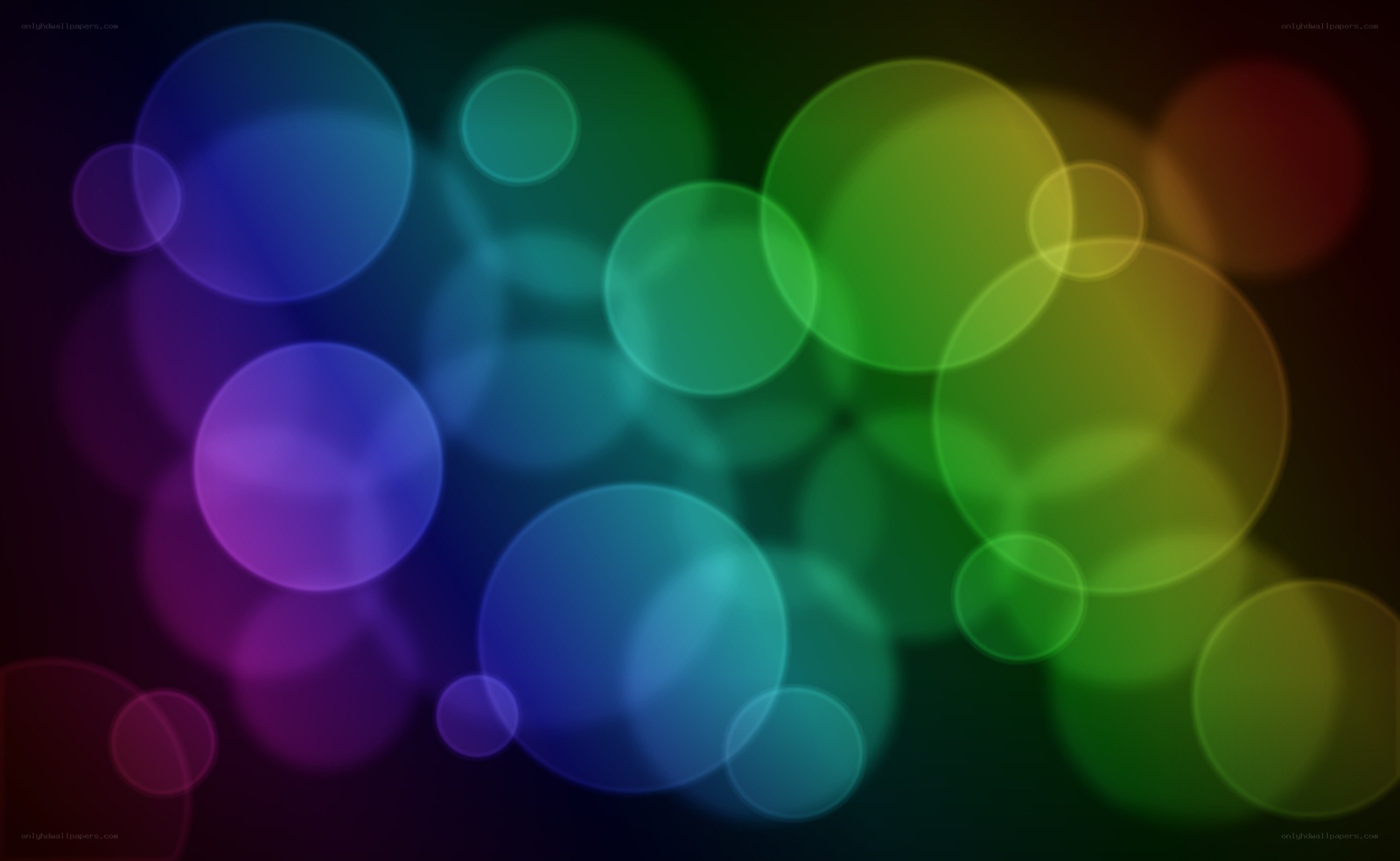 colorful bokeh circles
