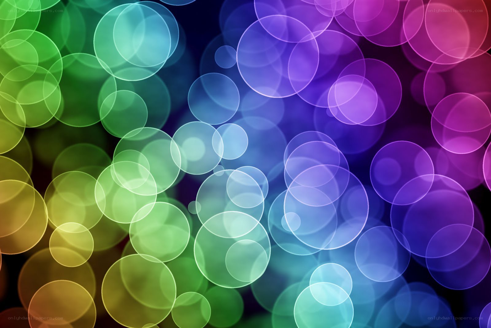 colorful bokeh circles