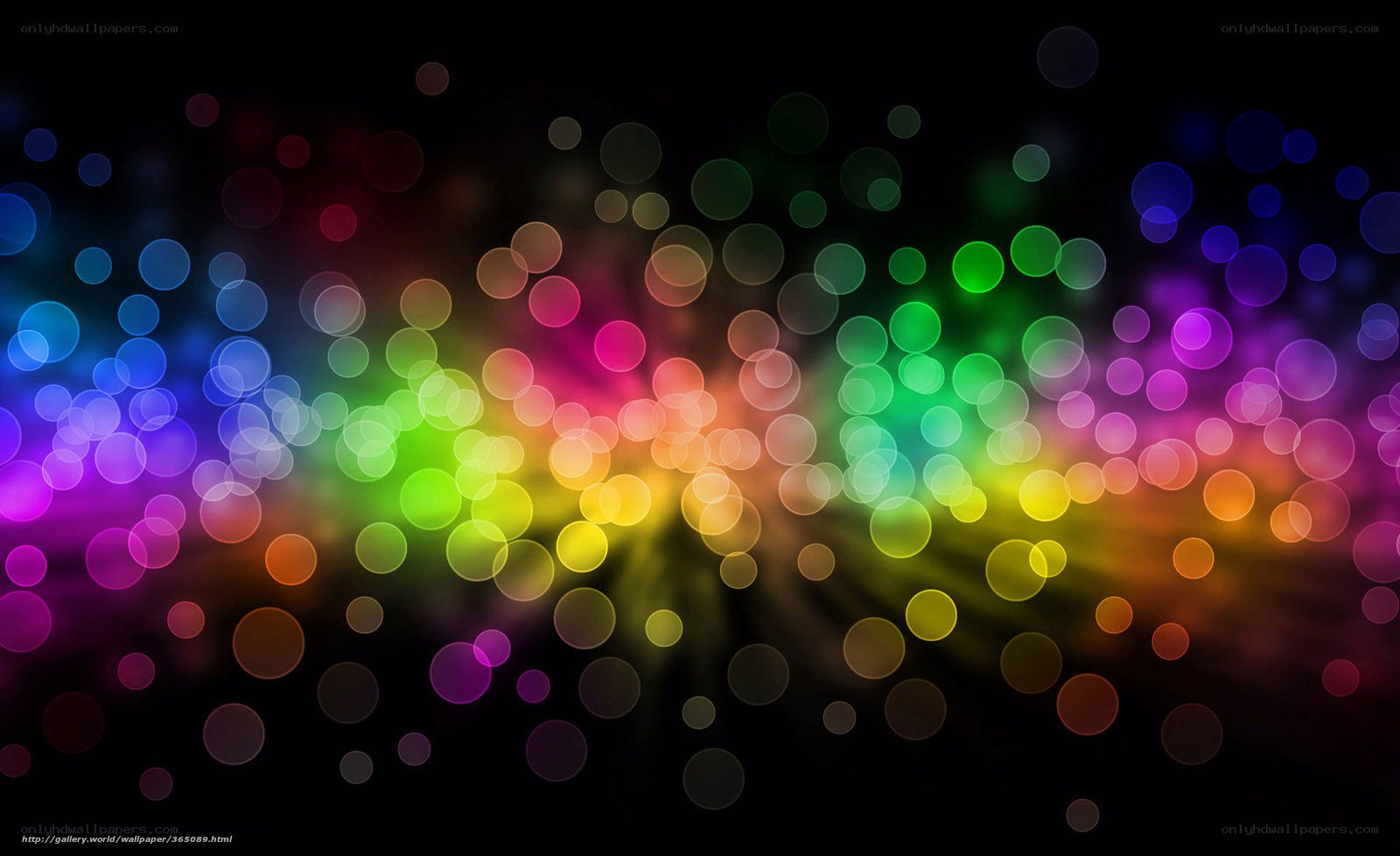colorful bokeh light circles