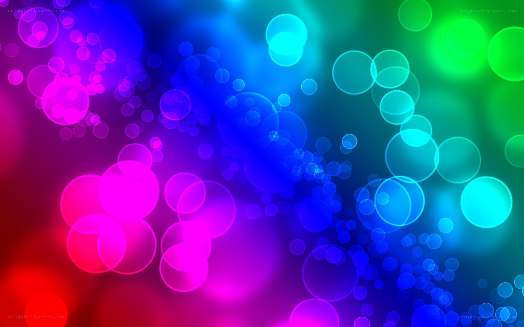 colorful bokeh light circles
