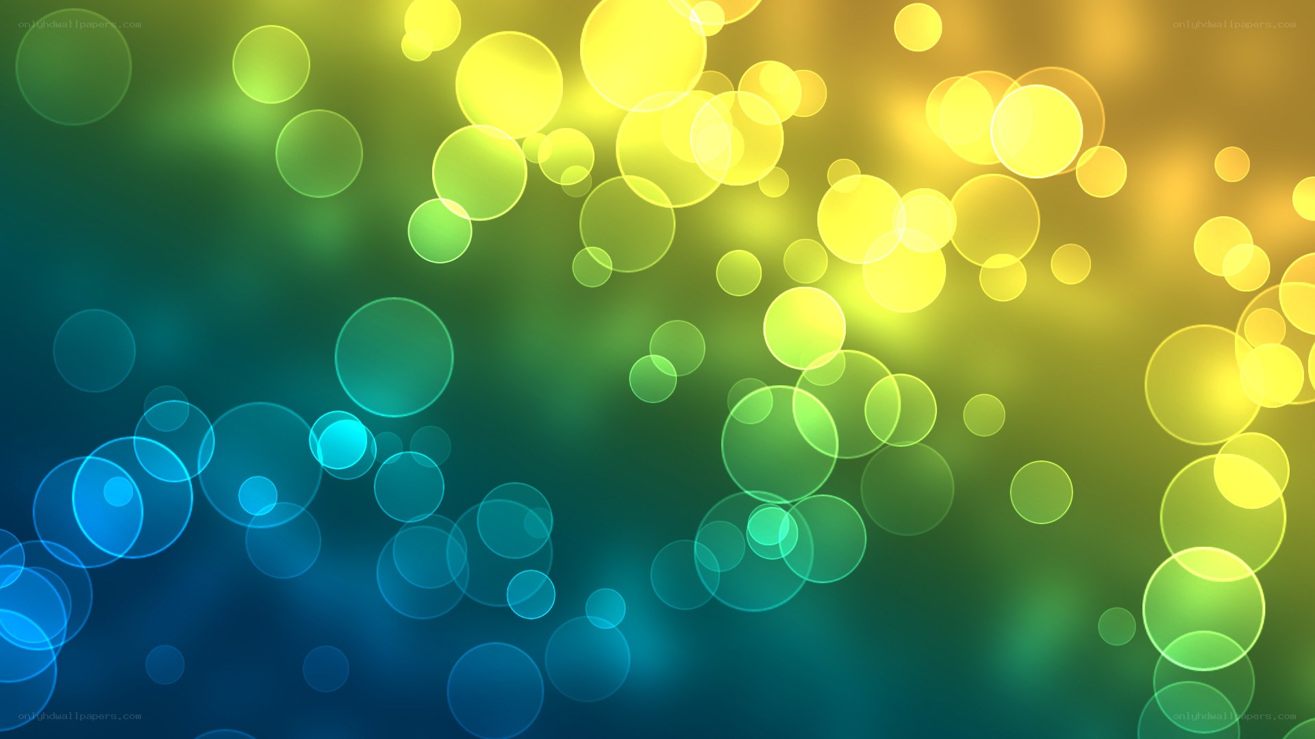 colorful bokeh light circles