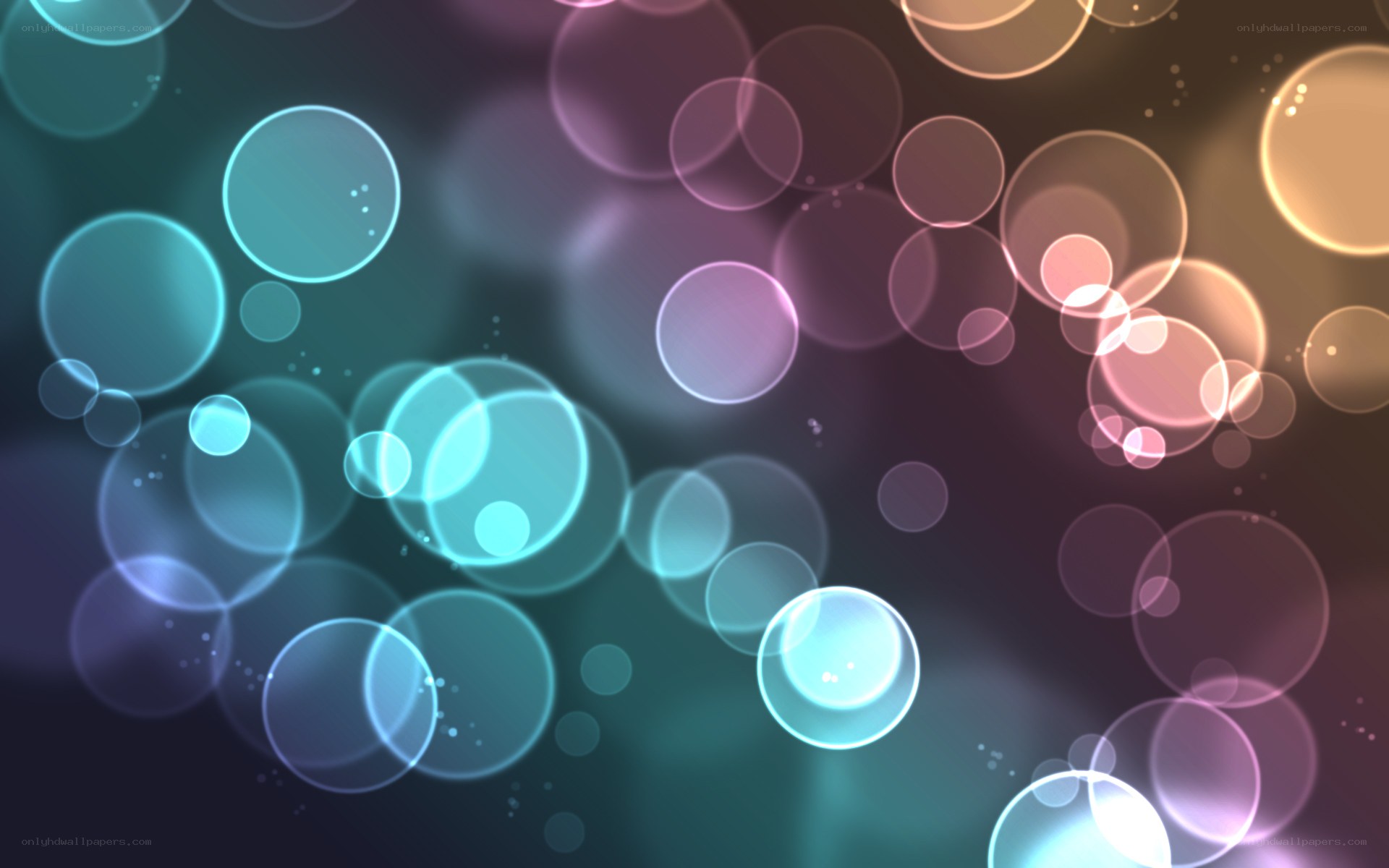 colorful bokeh light circles