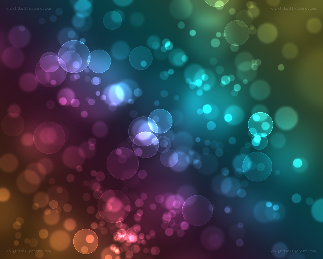 colorful bokeh light circles