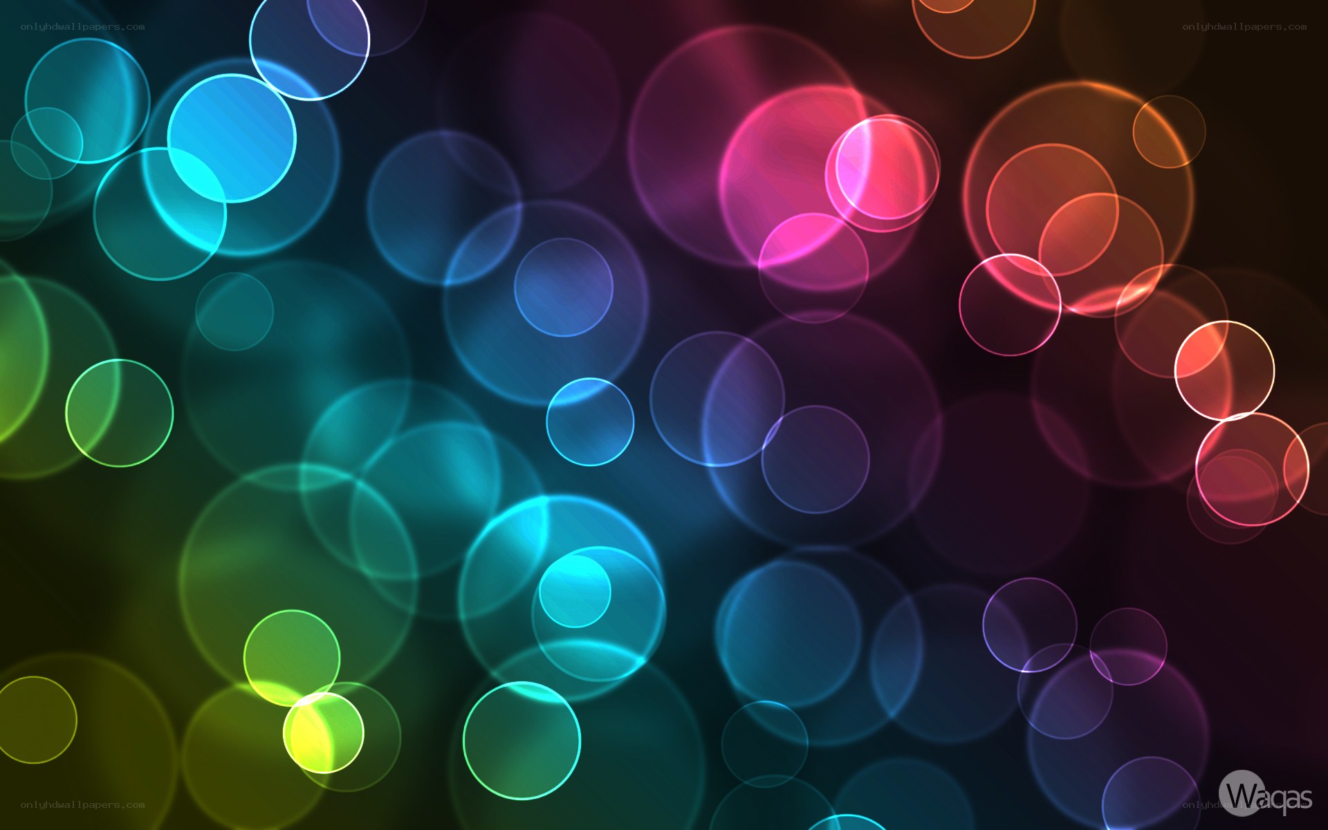 colorful bokeh light circles