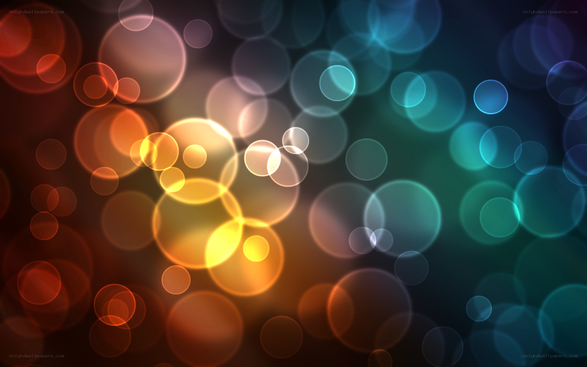 colorful bokeh light circles