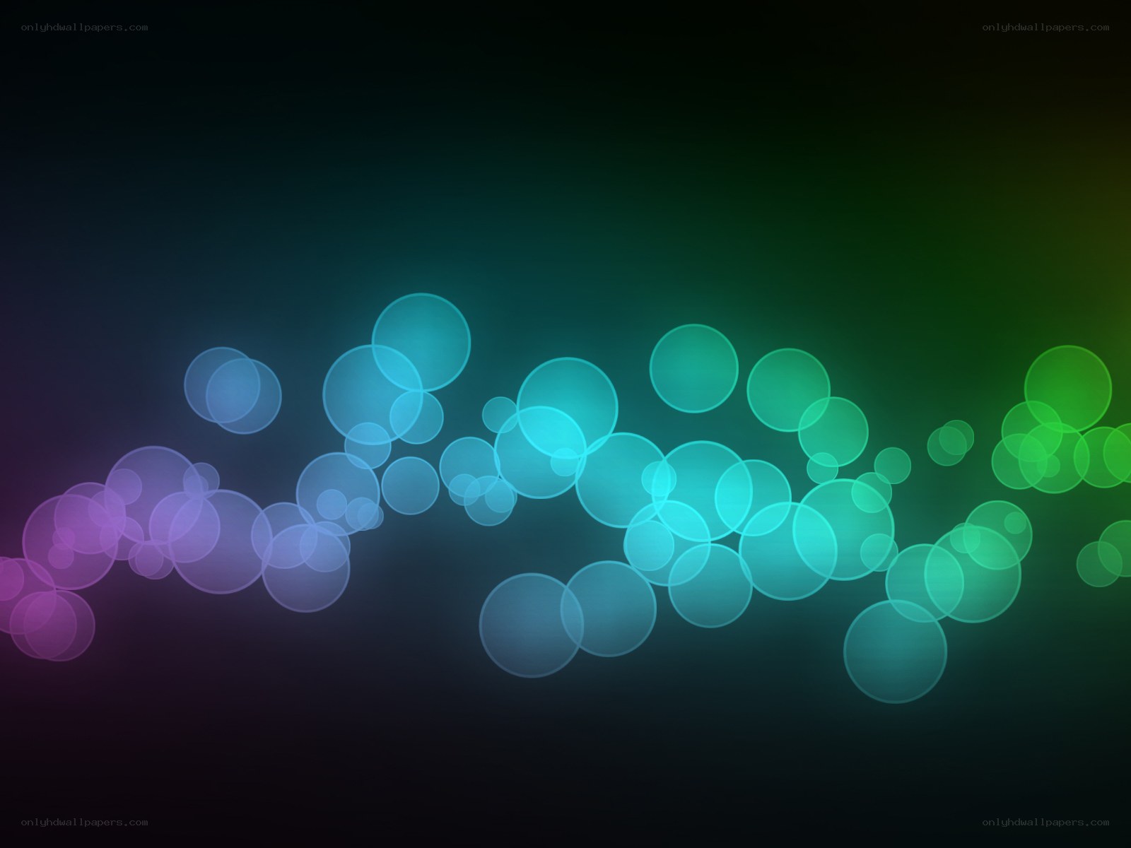colorful bokeh light circles