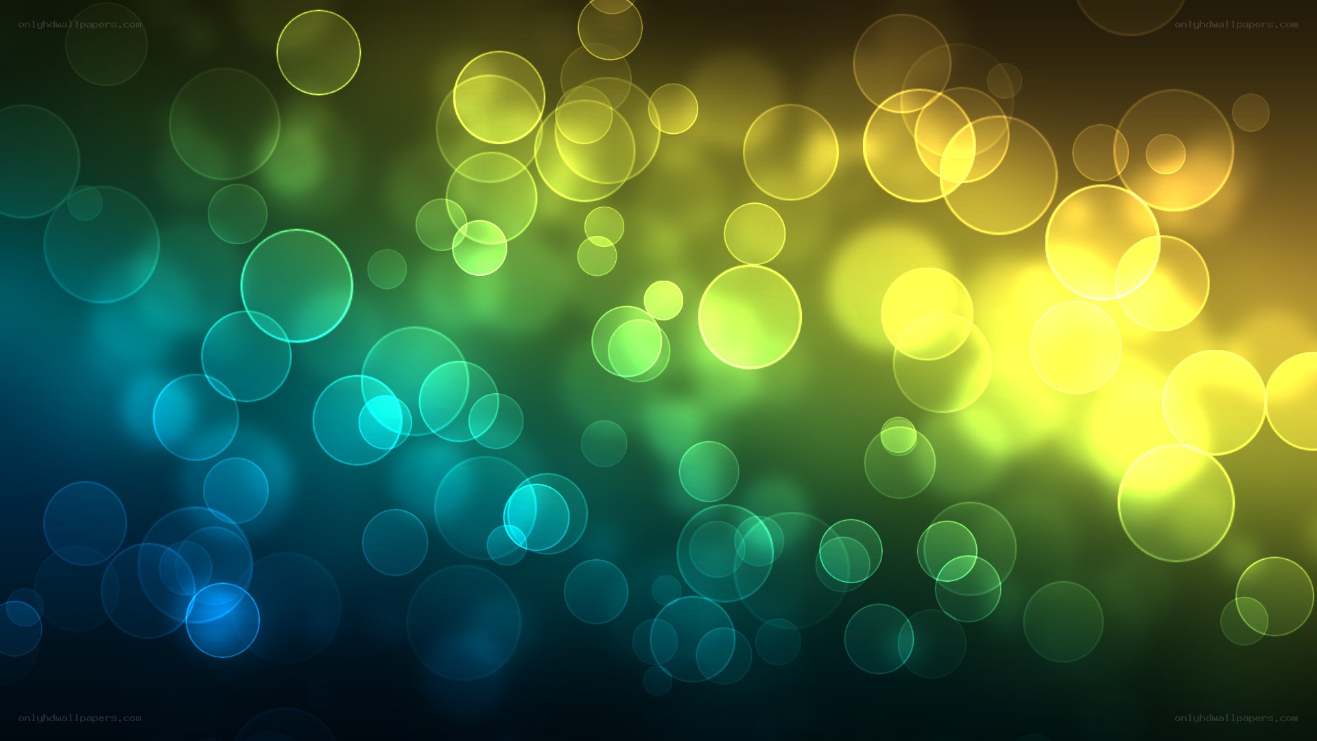 colorful bokeh light circles
