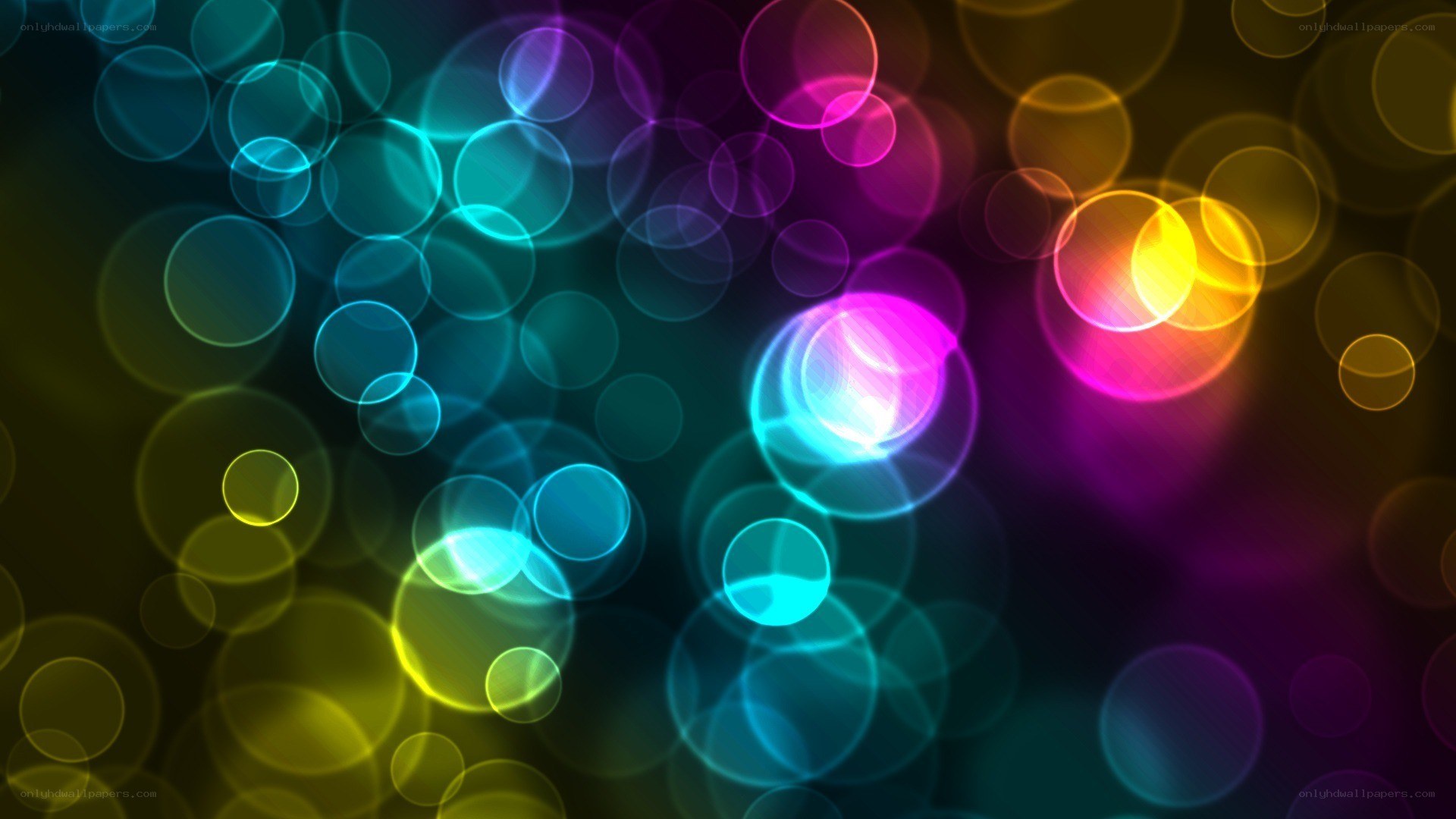 colorful bokeh light circles