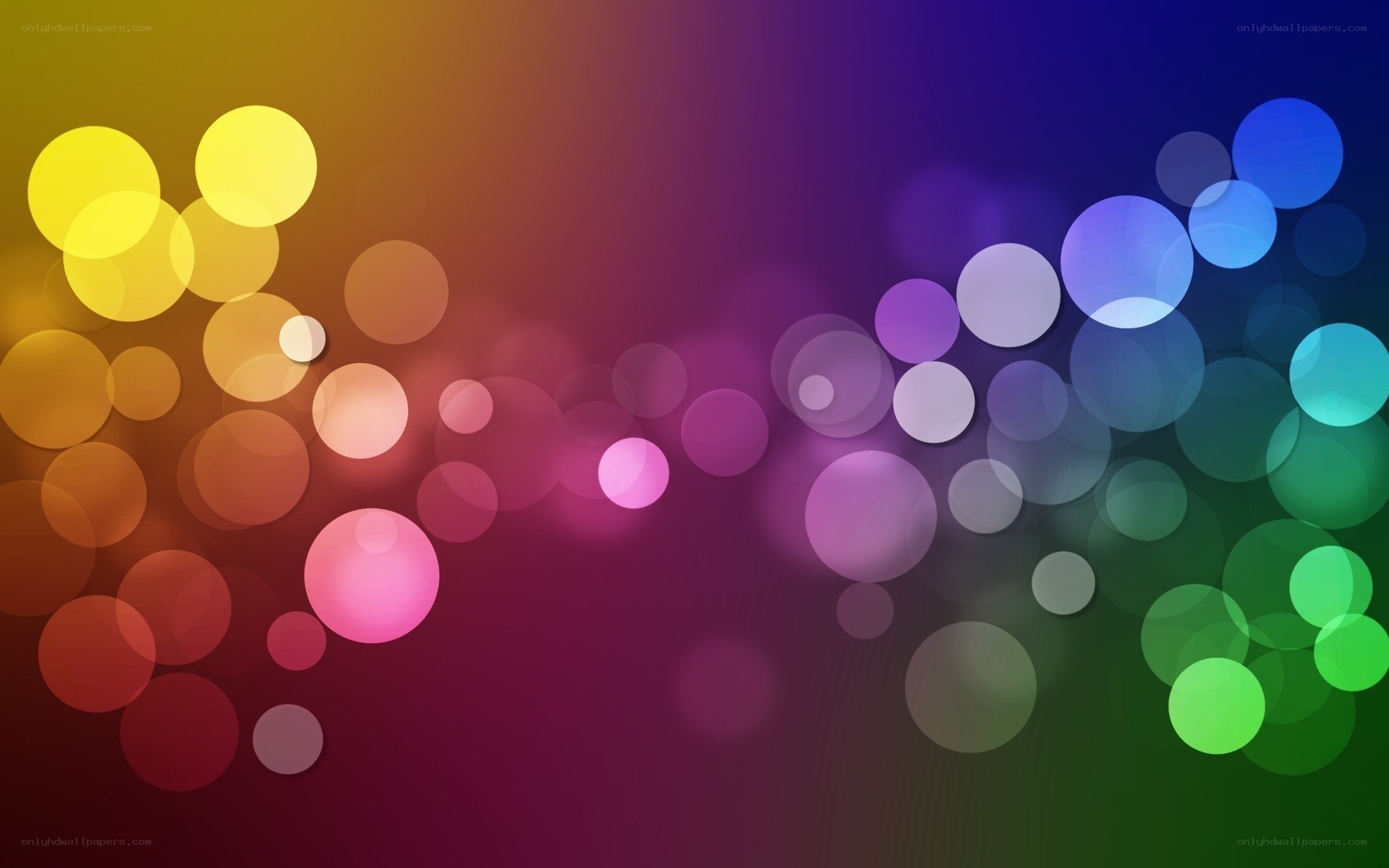 colorful bokeh light circles