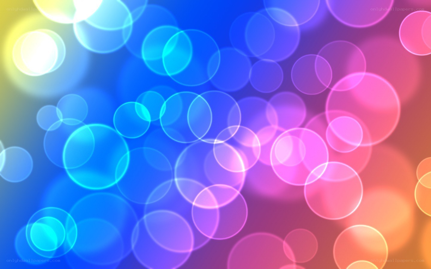 colorful bokeh light circles