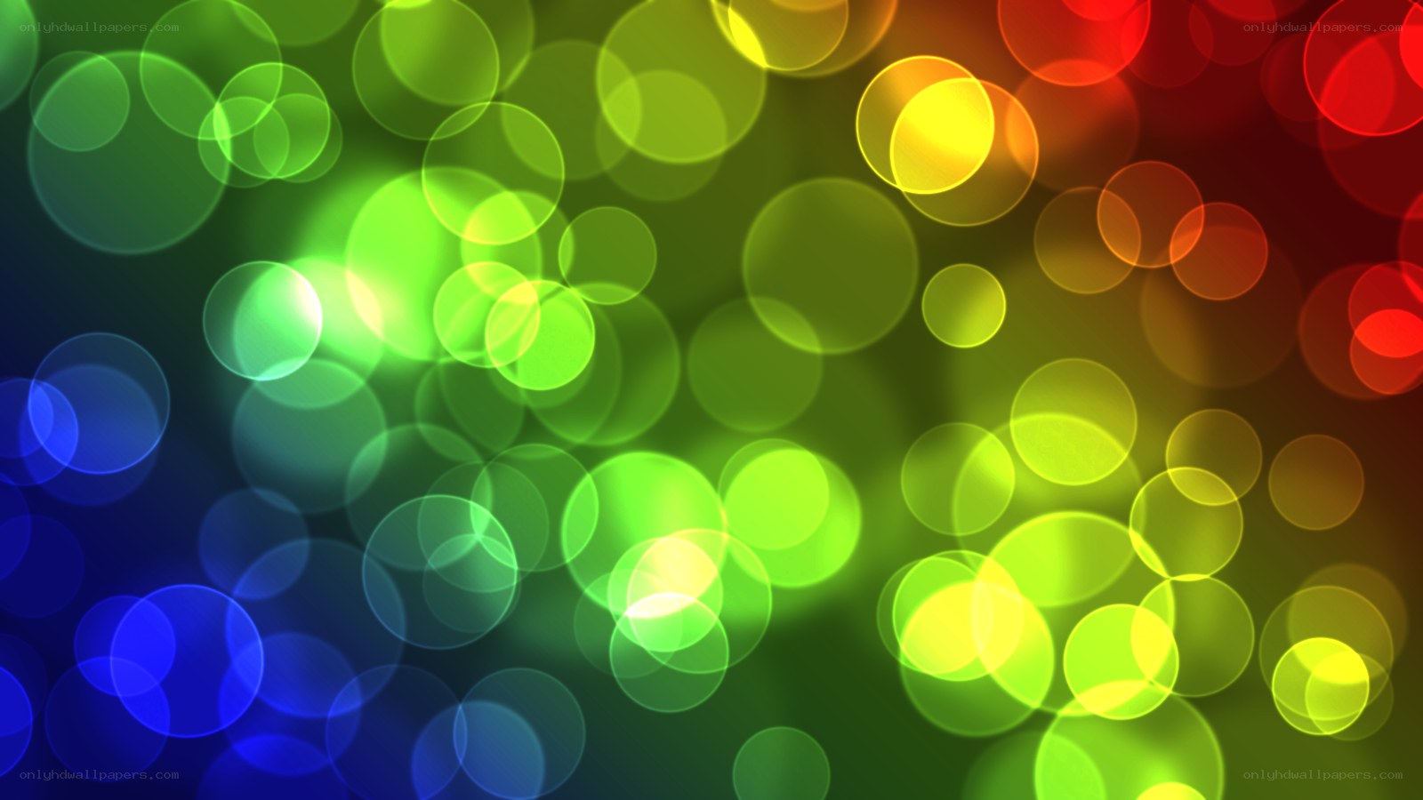 colorful bokeh light circles