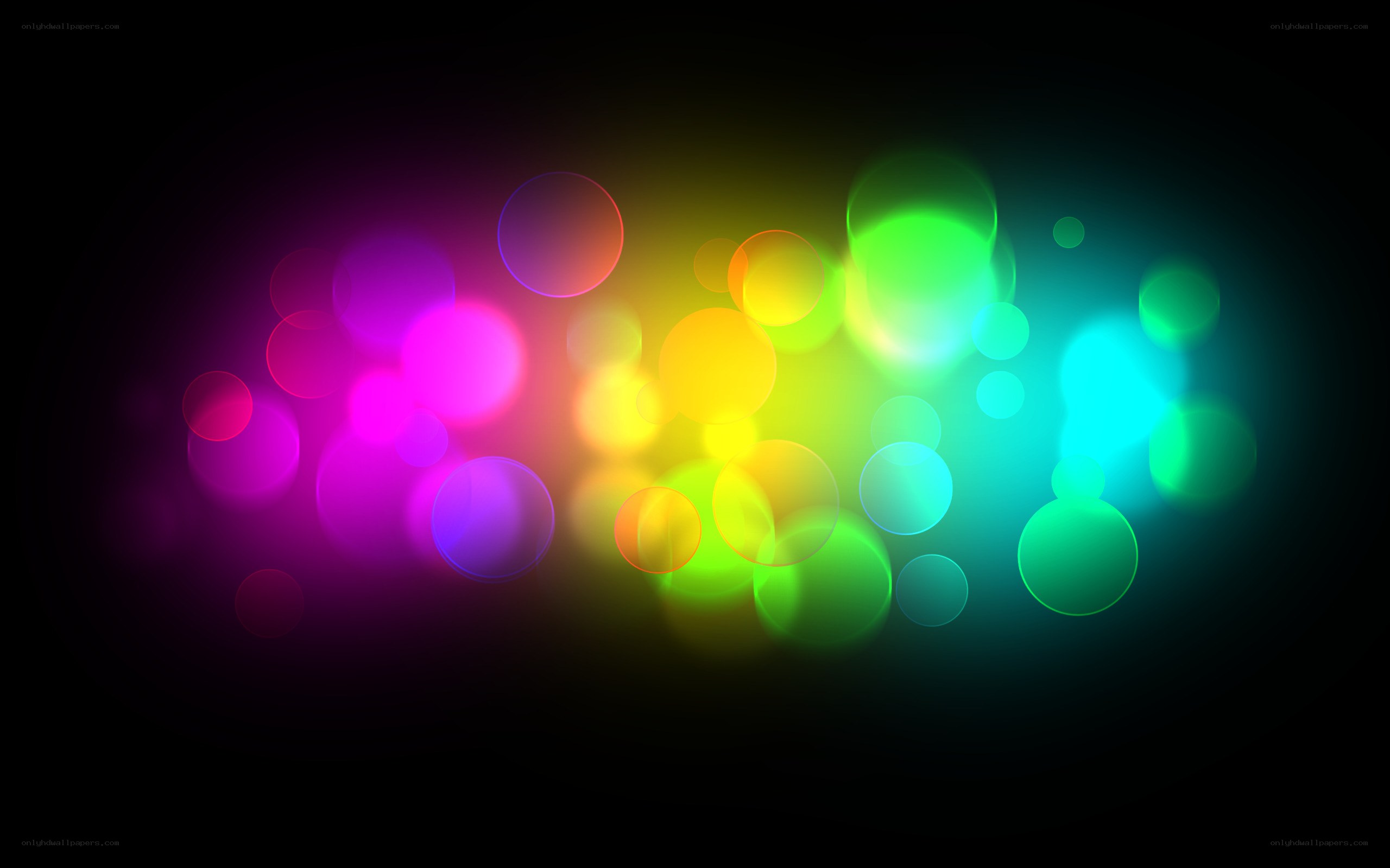 colorful bokeh light circles