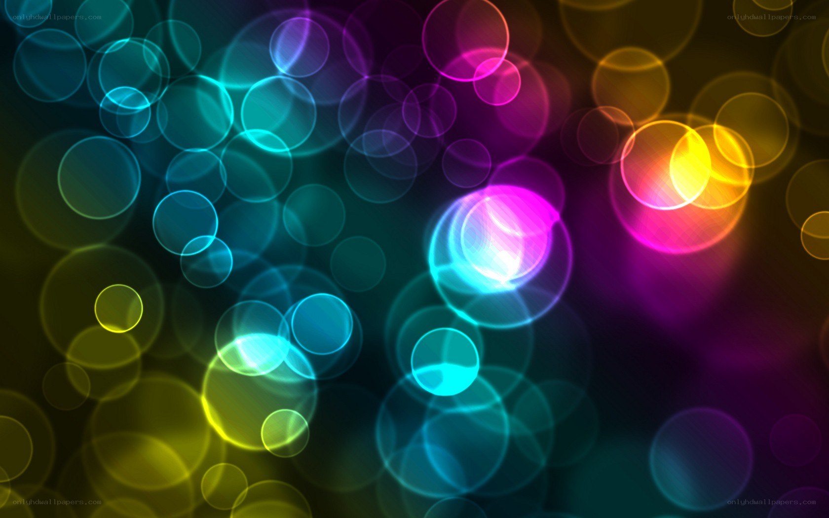 colorful bokeh light circles