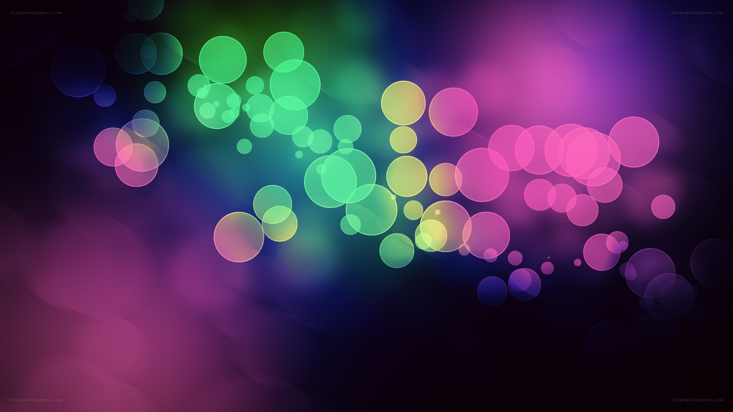 colorful bokeh light circles