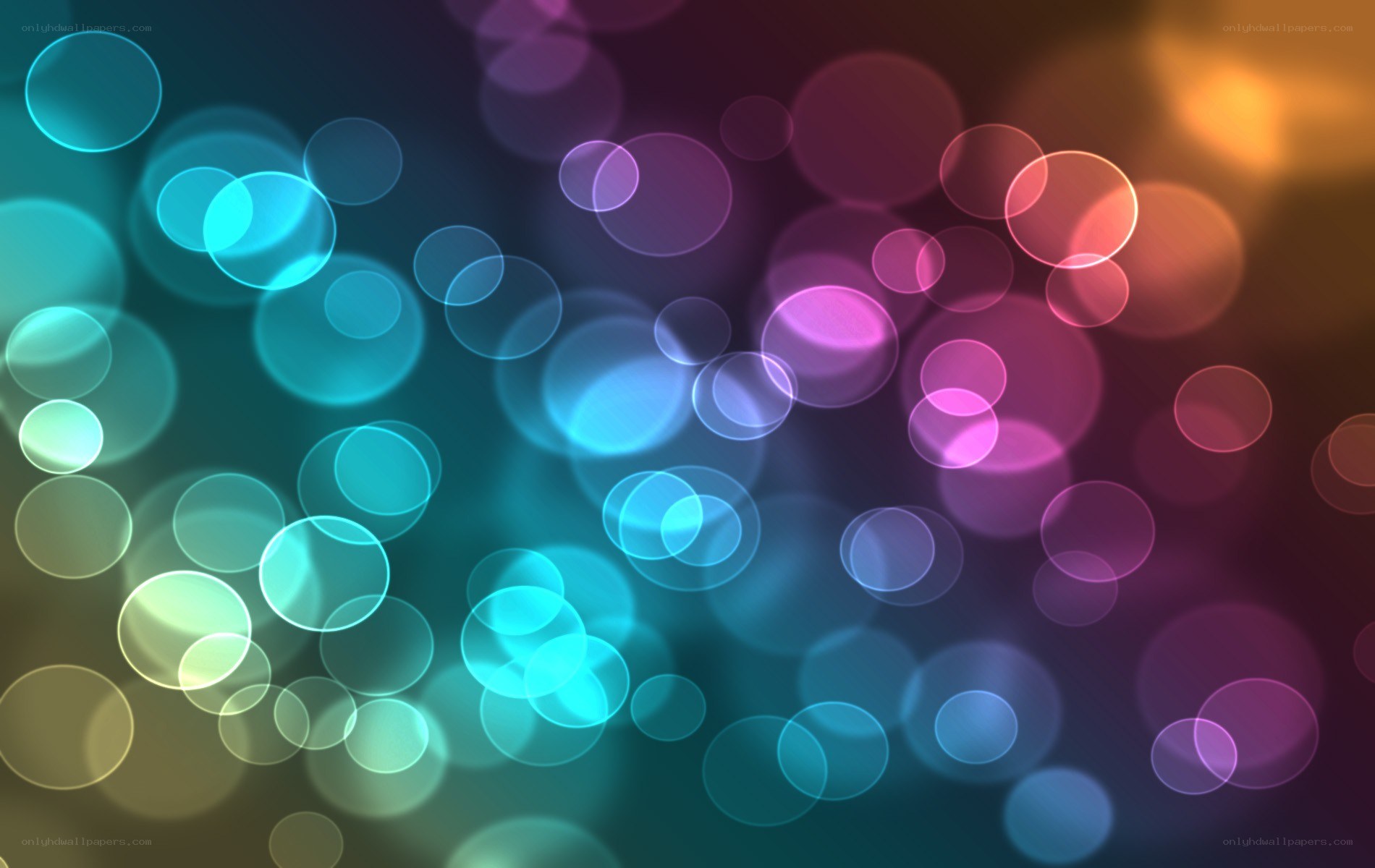 colorful bokeh light circles