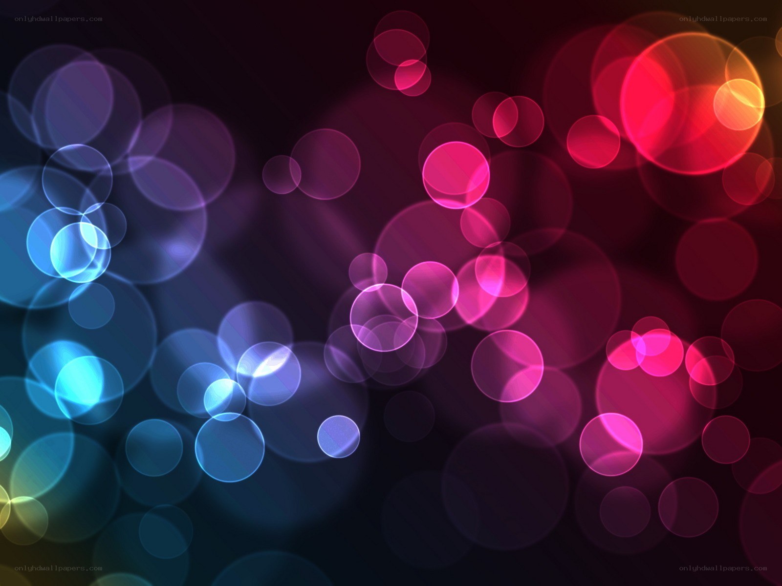 colorful bokeh light circles