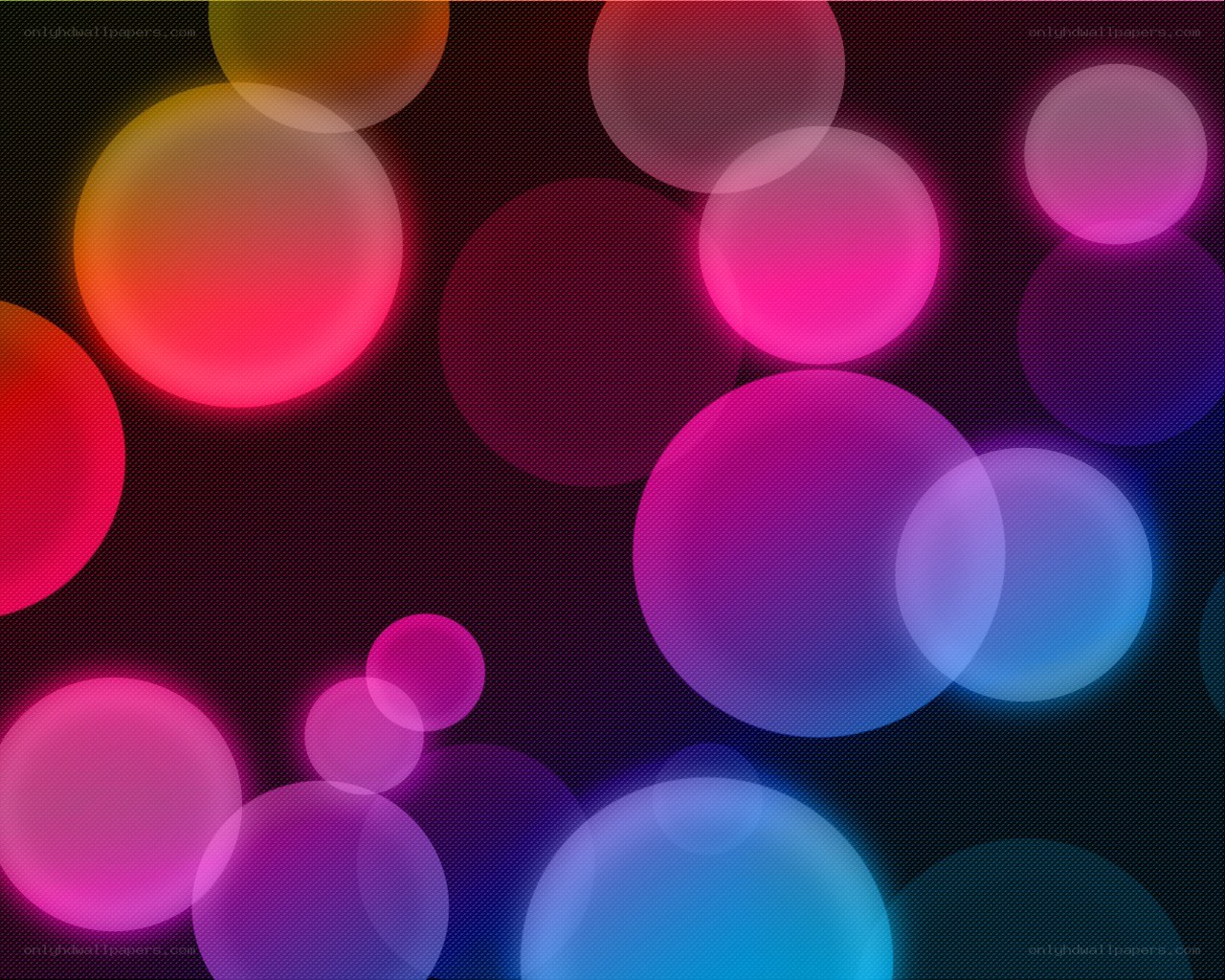 colorful bokeh light circles