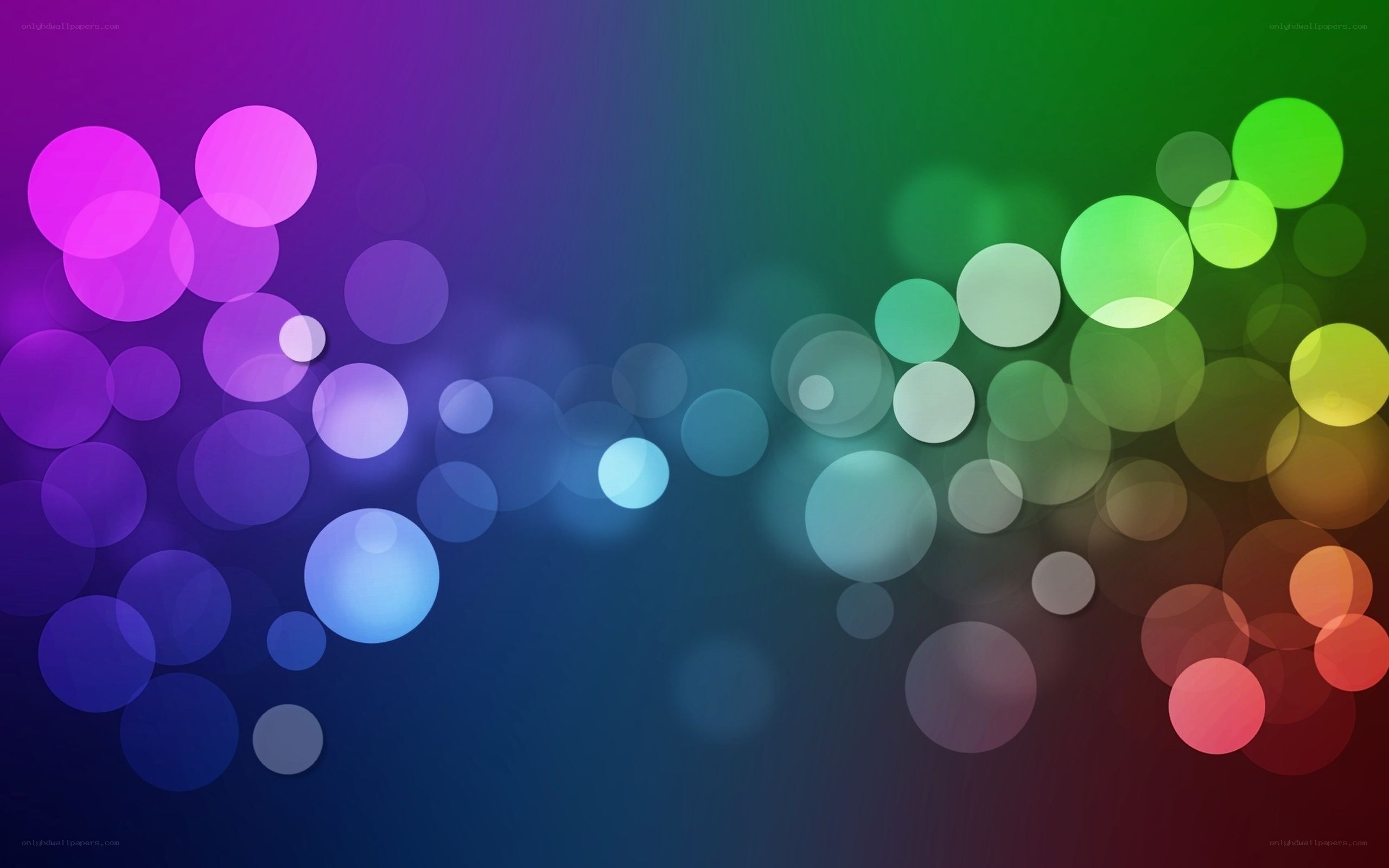 colorful bokeh light circles
