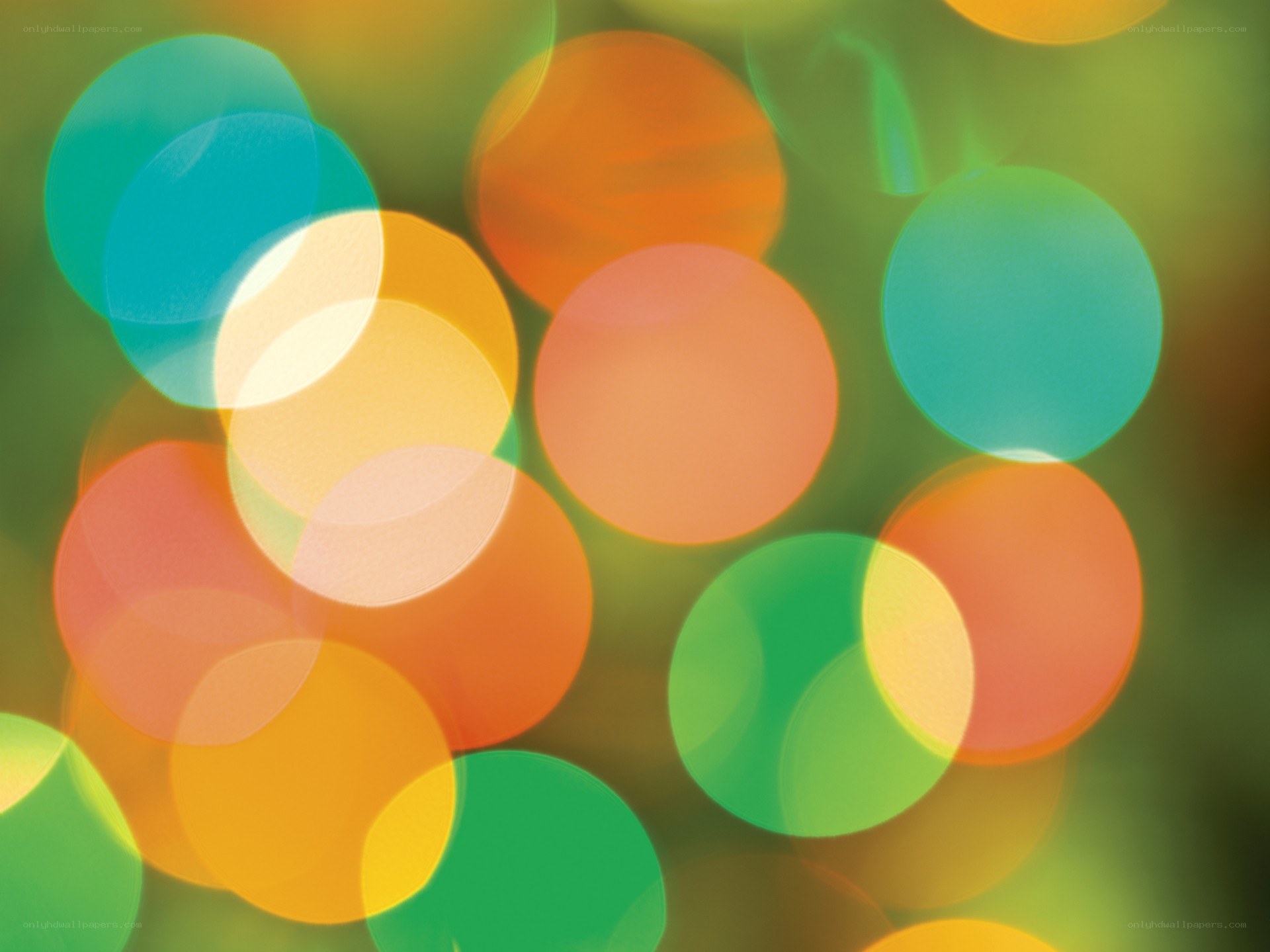 colorful bokeh light circles