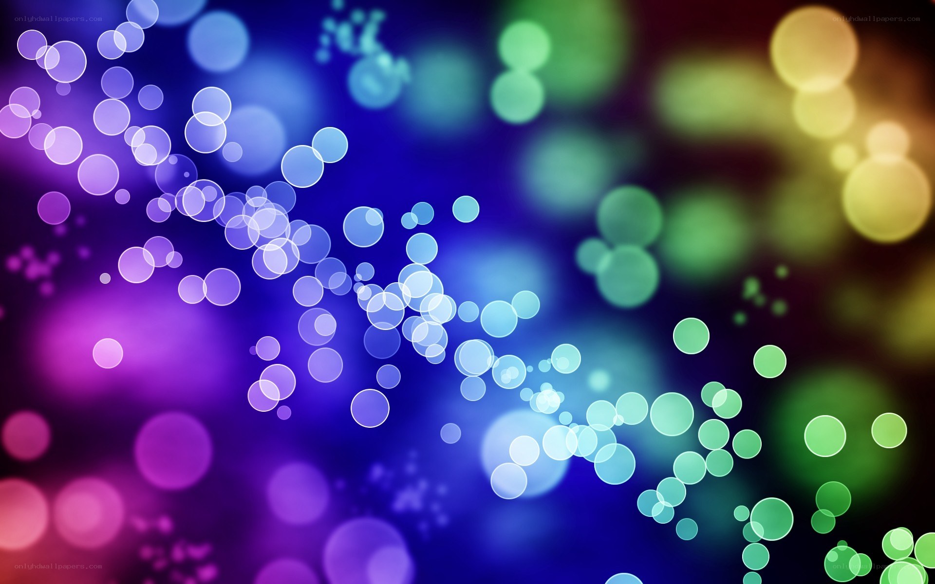 colorful bokeh light circles