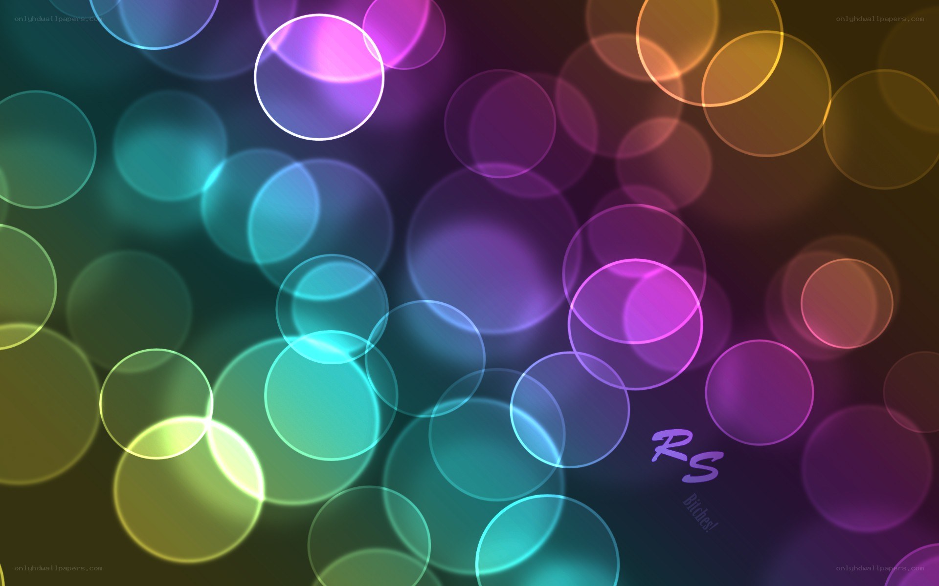 colorful bokeh light circles