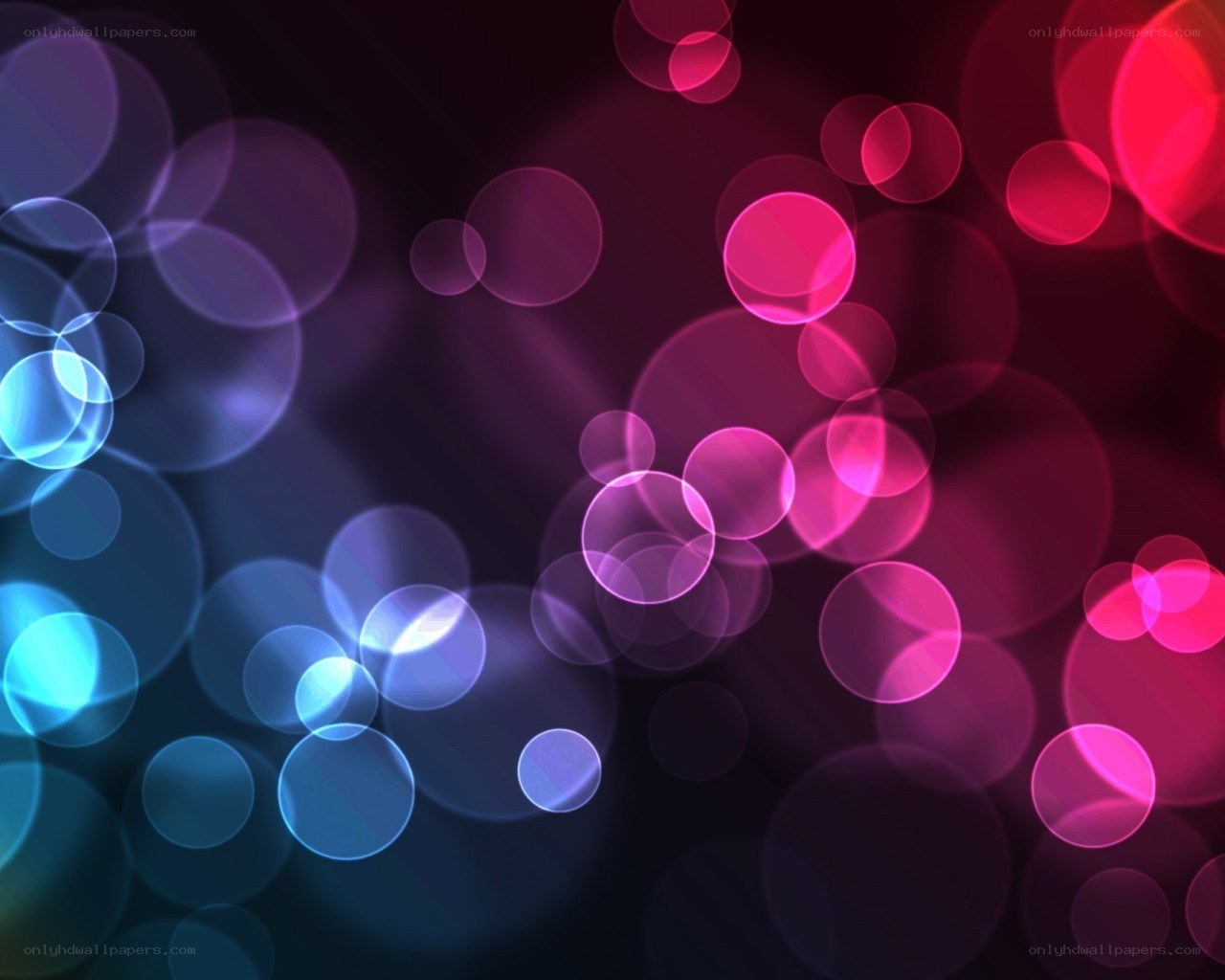 colorful bokeh light circles