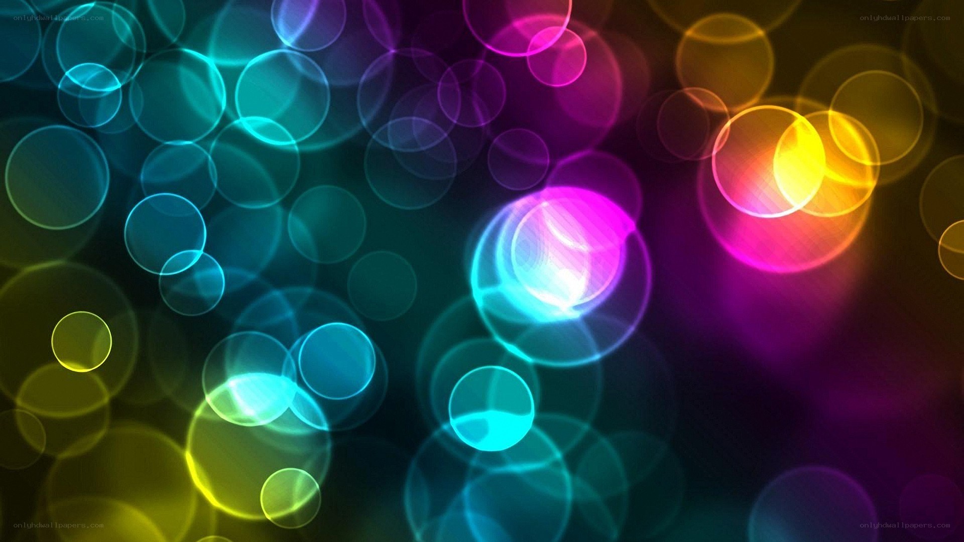 colorful bokeh light circles