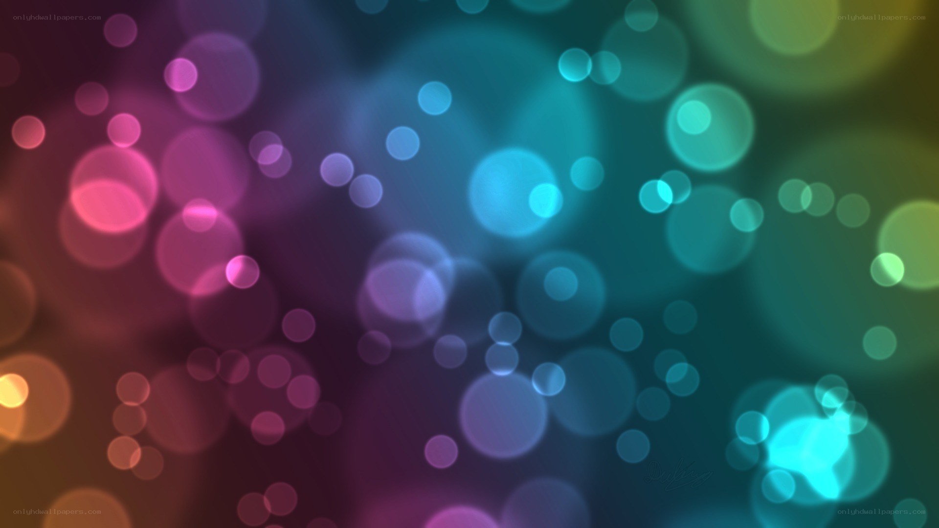 colorful bokeh light circles