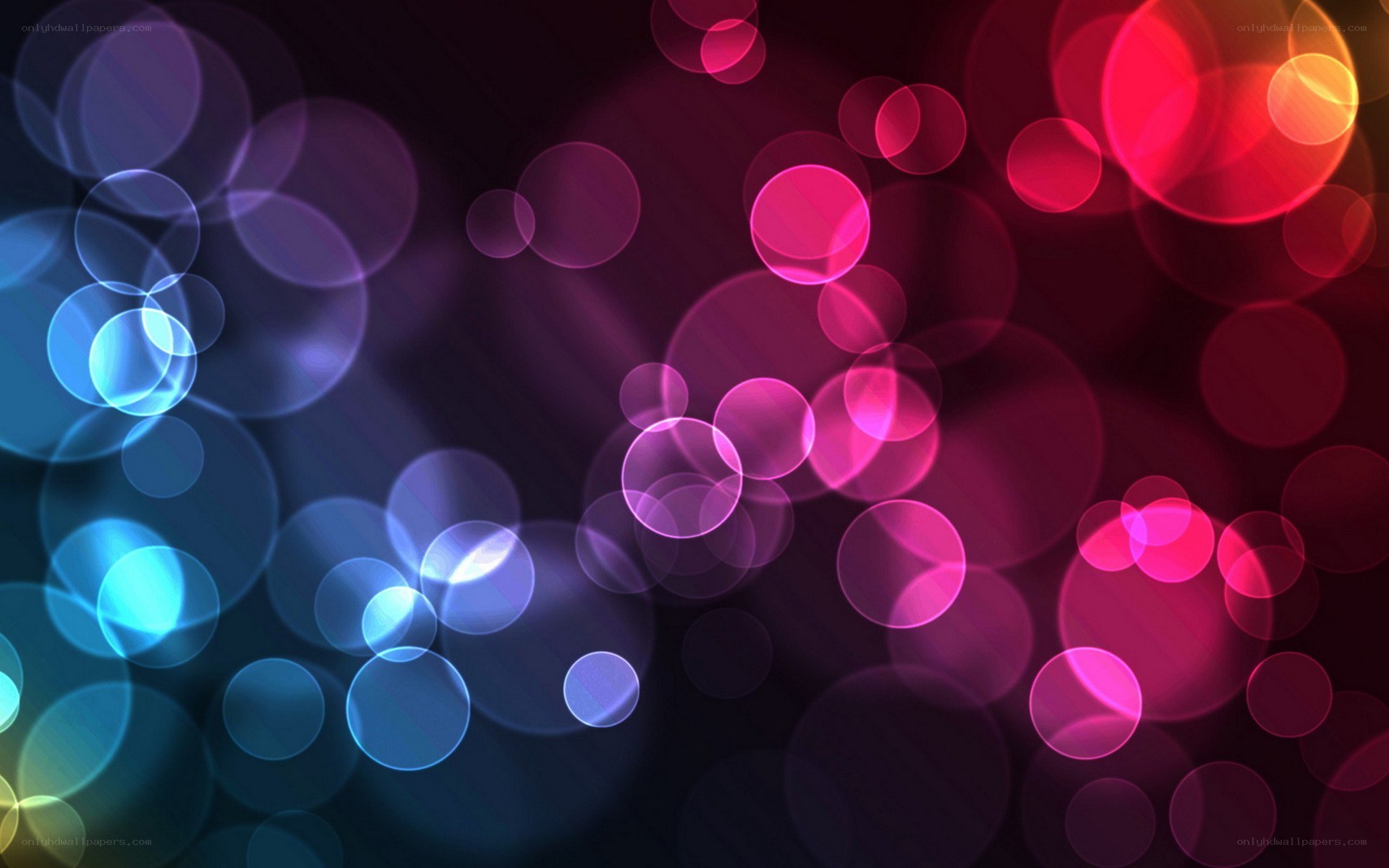colorful bokeh light circles