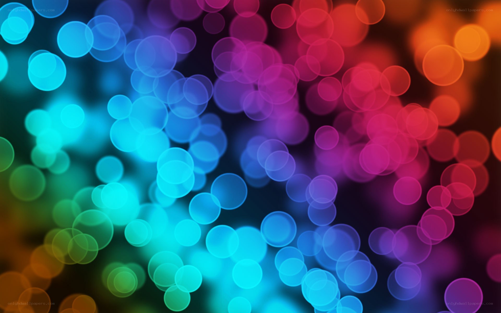 colorful bokeh light circles