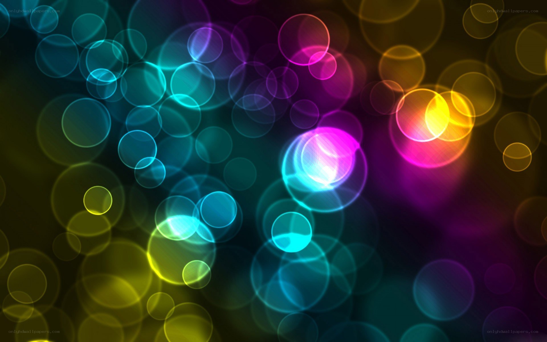 colorful bokeh light circles