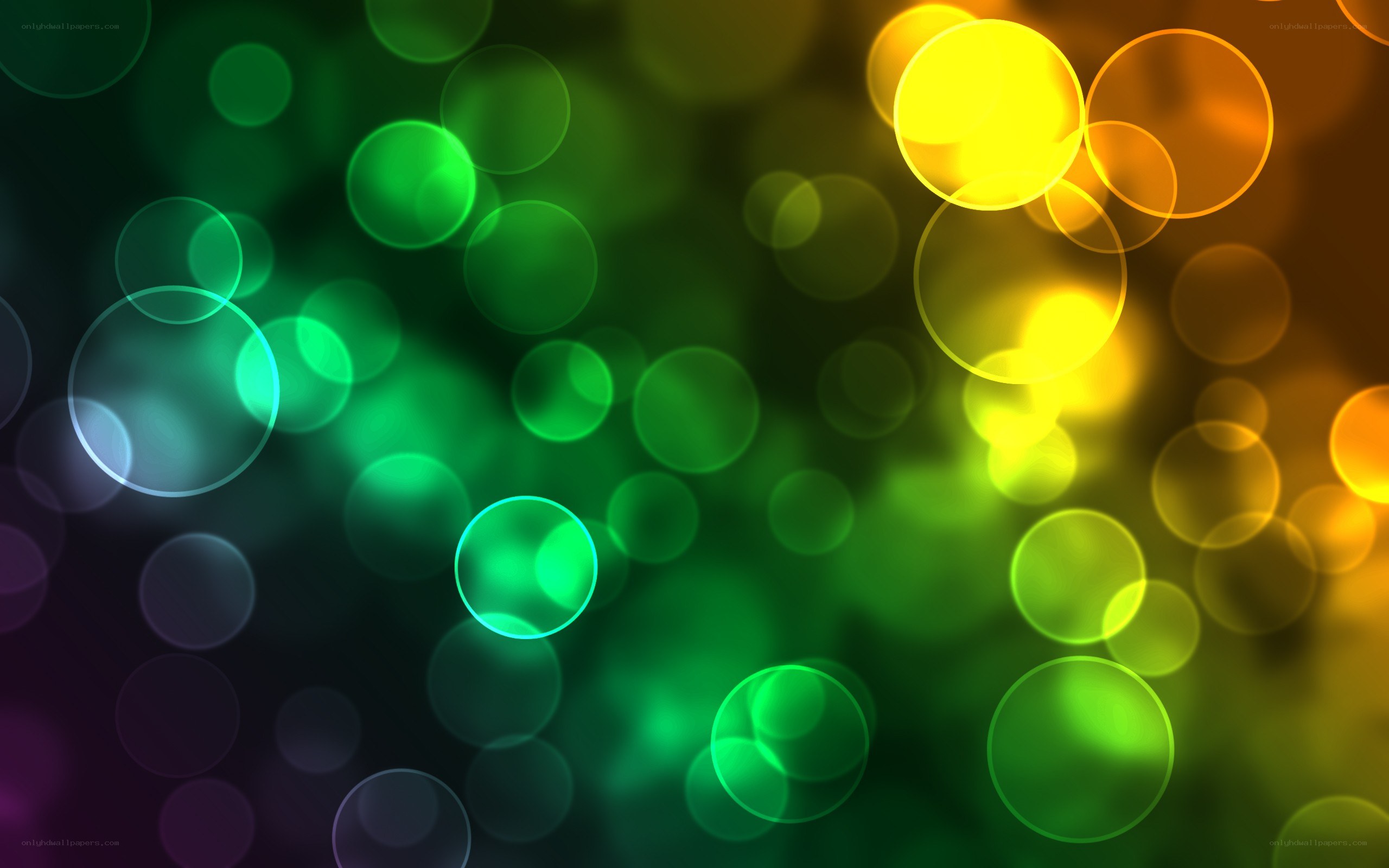 colorful bokeh light circles