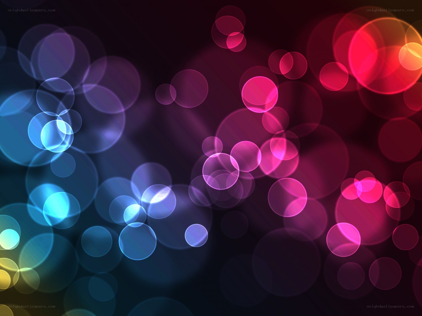 colorful bokeh light circles