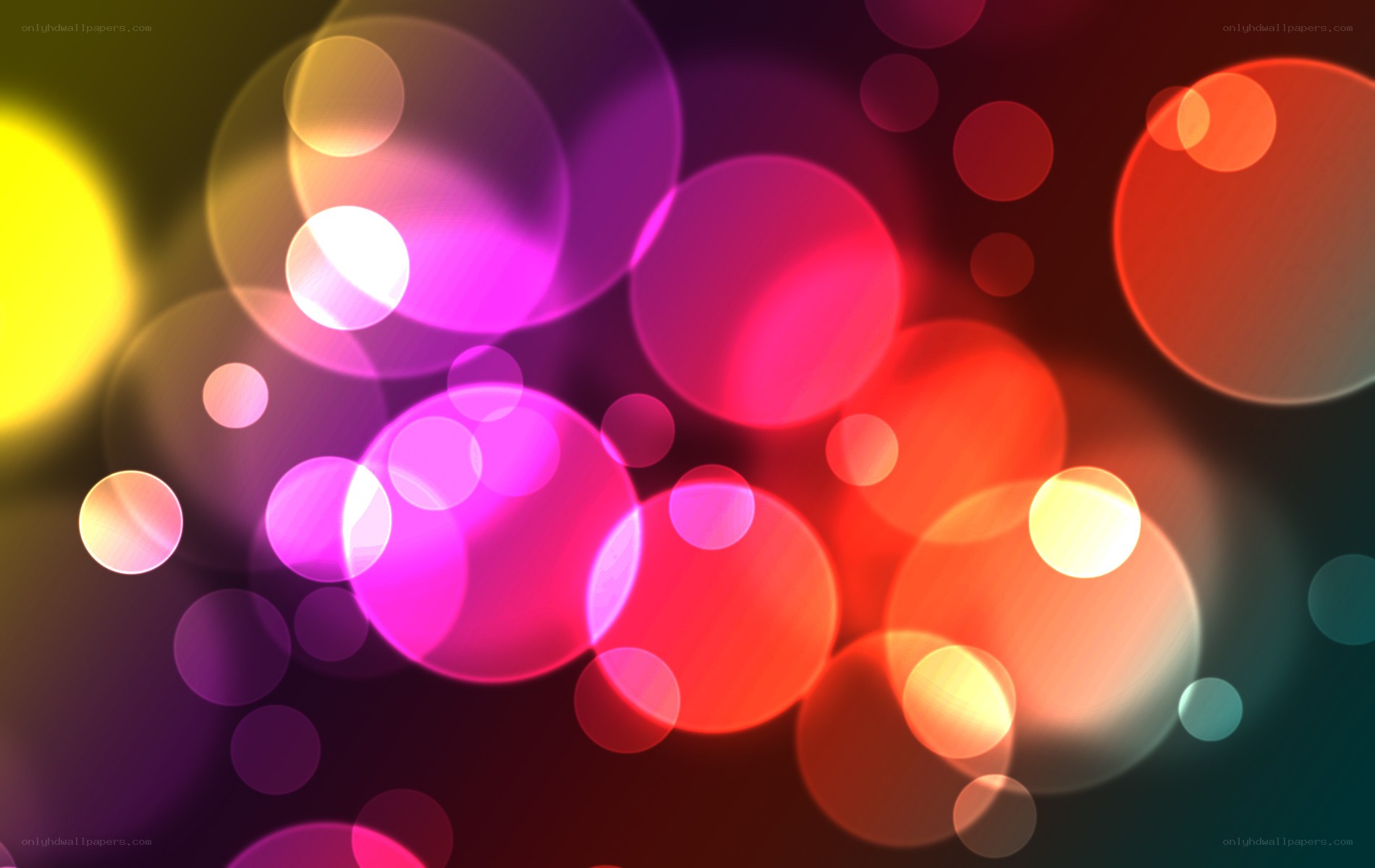 colorful bokeh light circles